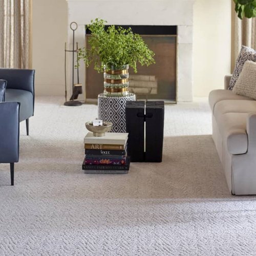 Living Room Pattern Carpet - Walter's Flooring in West Bend, WI