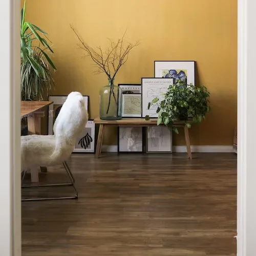 Flooring experts at Walter's Flooring in West Bend, WI